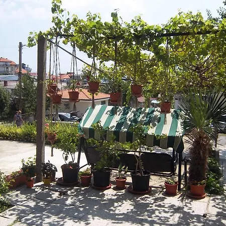 Bachvarovi * Sveti Vlas